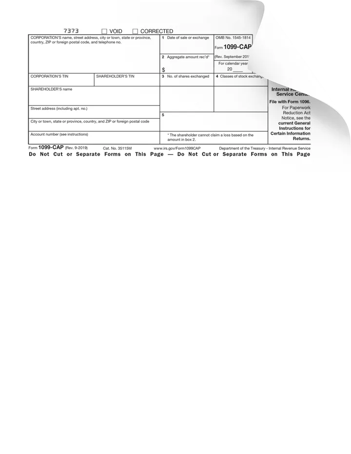 Form 1099-CAP Preview