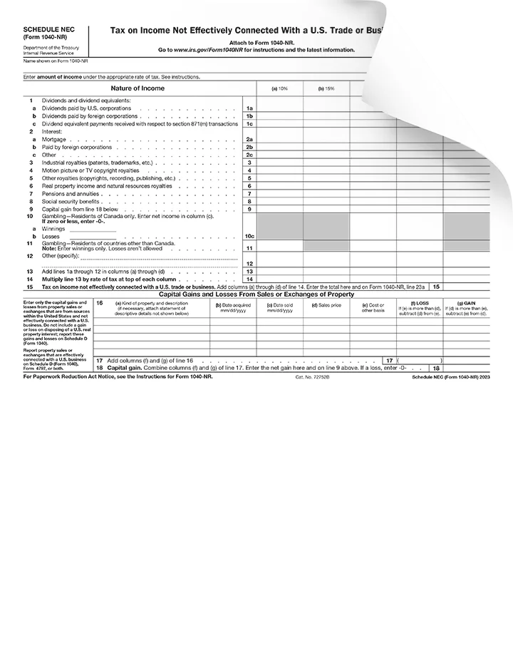 Form 1040-NR Schedule NEC Preview
